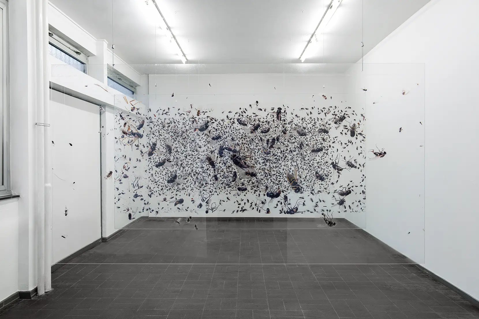 Jennifer Bannert, Die Fliegen, UV-Print on Acrylic Glass, Steel Ropes, 2018, 130 × 240 cm each